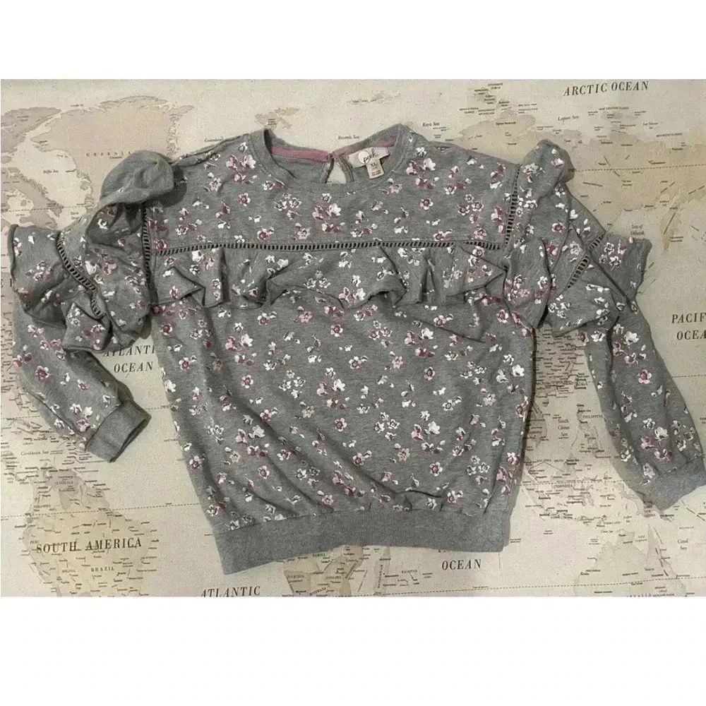Peek 12 XL Gray Pink Floral
Ruffled Sweater - Picture 1 of 4